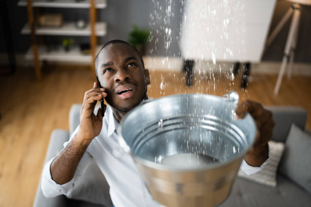 Best Basement water damage restoration  in Golden, CO