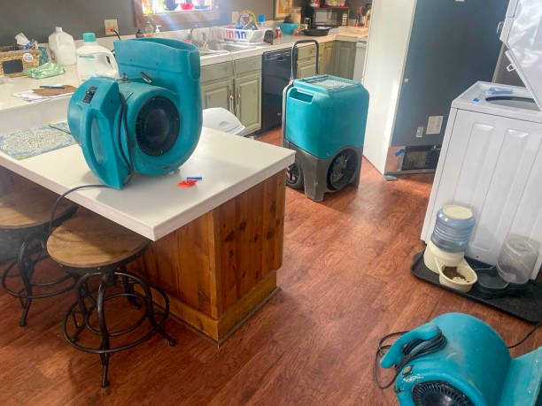 Best Carpet water damage restoration  in Golden, CO
