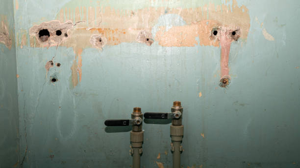 Best Flood restoration services  in Golden, CO