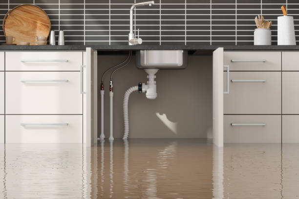 Best Basement water damage restoration  in Golden, CO
